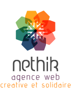 Nethik's logo